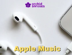 Cara Berhenti Langganan Apple Music Easy Banget!