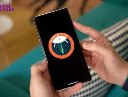Fitur Terbaru Android 14 yang Wajib Kamu Coba