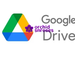 Bagaimana Cara Membuat Google Drive yang Bisa Diakses Semua Orang? Cek Jawabannya!