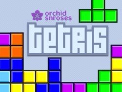 Game Klasik Tetris Online yang Berevolusi di Era Digital