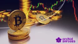 Tren Terbaru Dunia Kripto: Mei 2025 Diwarnai Koreksi & Inovasi
