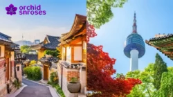Korea Selatan: Negara Modern dengan Budaya yang Mendunia