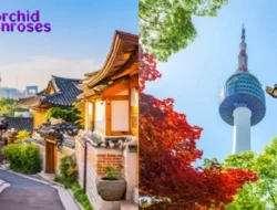 Korea Selatan: Negara Modern dengan Budaya yang Mendunia