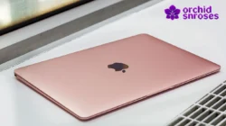 Rekomendasi MacBook Terbaik untuk Kerja, Kuliah & Kreativitas
