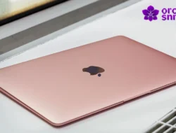 Rekomendasi MacBook Terbaik untuk Kerja, Kuliah & Kreativitas