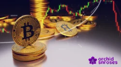Cara Trading Crypto Terbaik untuk Pemula hingga Profesional