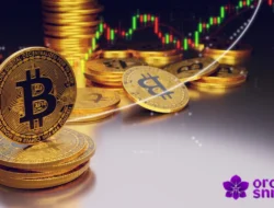 Cara Trading Crypto Terbaik untuk Pemula hingga Profesional