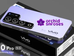 Vivo V50 5G: Smartphone Elegan dengan Fitur Premium